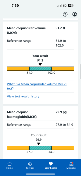 Anyone know about low iron/ferritin
