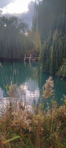 The Nigel Slater Christmas Chronicles Readalong 2025