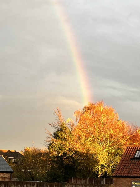 Thread 38 Starmer: Tax your Hamster