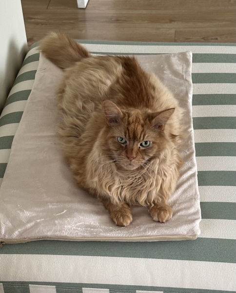 Heat pad use