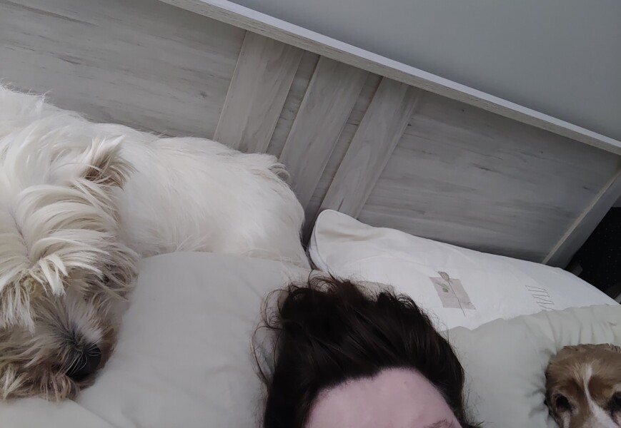 Where does your dog sleep