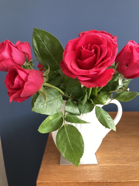 Thread 38 Starmer: Tax your Hamster