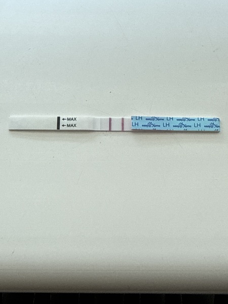 Ovulation test.