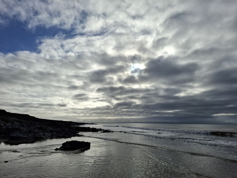 The Nigel Slater Christmas Chronicles readalong 2025 - Part 2