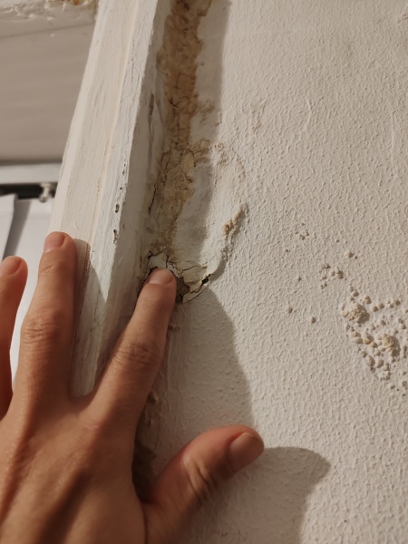 Persistent leak, after new roof