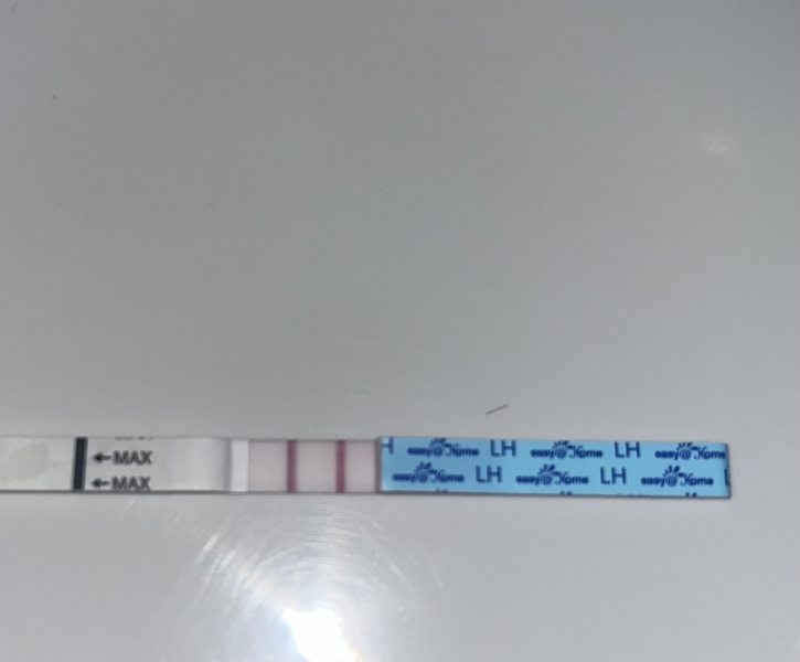 Positive ovulation test?