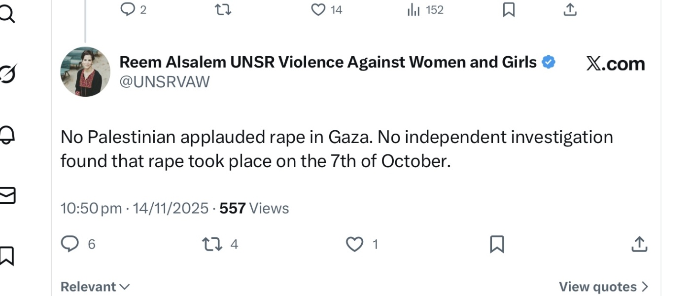 Reem Alsalem, UN Special Rapporteur on VAWAG is a fucking disgrace