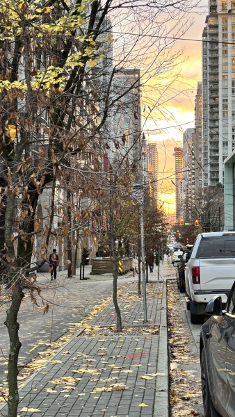 Come and tell us your dull and unexciting news 34: Calmly through the day