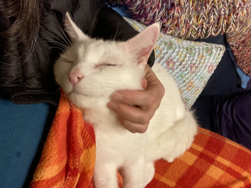 MrCat hasn’t read the manual