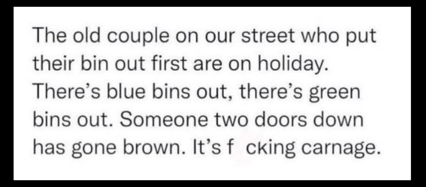 The Bluestocking: All You Need to Know About Risk Assessments, Jazz Hands, Battenberg and Sourdough (But Were Afraid to Ask) - and gerbils. Lots and lots of gerbils.