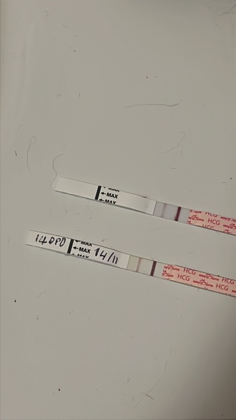 TTC#1 - Looking for Others in the Same Boat PART TWO THE SEQUEL WHERE WE ALL GET OUR BABIES???!