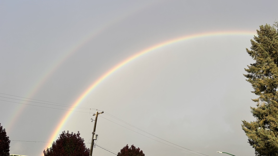 Come and tell us your dull and unexciting news 34: Calmly through the day