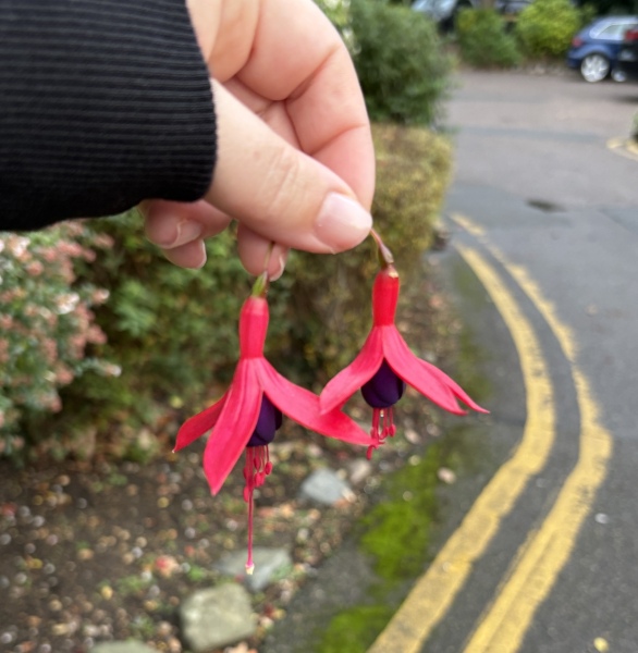 Mounjaro 10st (or more) to lose Thread 9