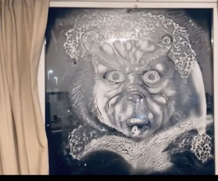 To say that my husband is extremely talented, pic included.