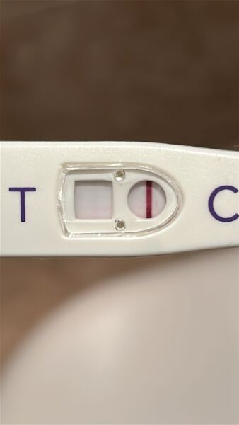 TTC TWW October 2025 🫶🏻