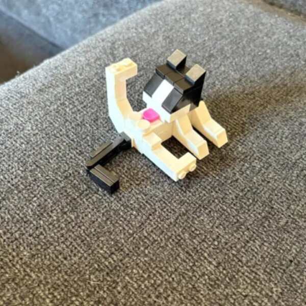 Thread 38 Starmer: Tax your Hamster