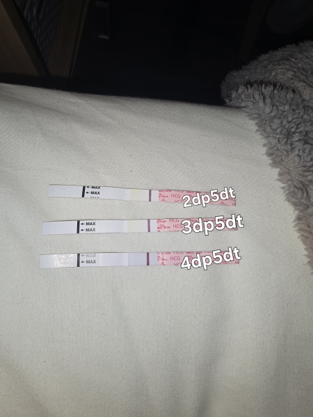 ivf fresh transfer low grade embryo