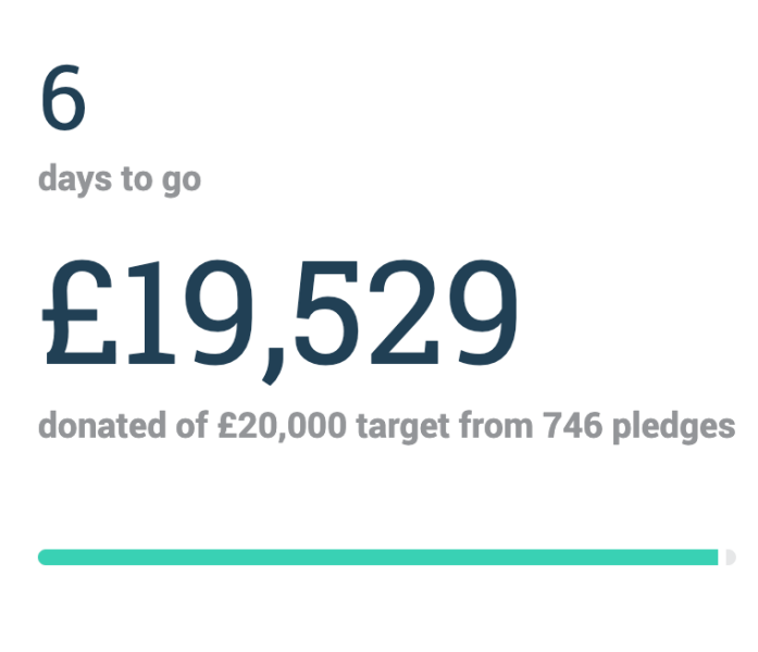 Darlington Nurses gardening - target reduced, six days left