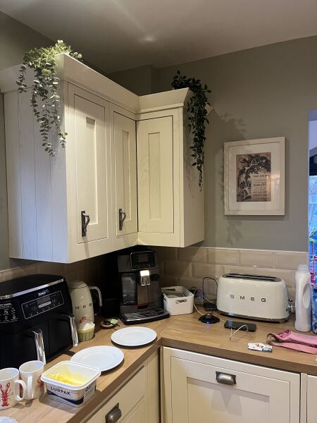 Recommend me a nice pale sage paint?