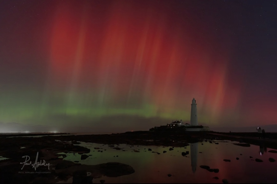 The Nigel Slater Christmas Chronicles Readalong 2025