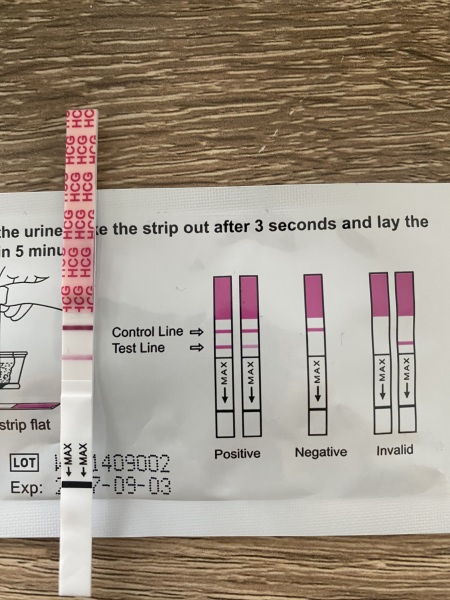 Pregnancy Test- Help confirming what I’m seeing.