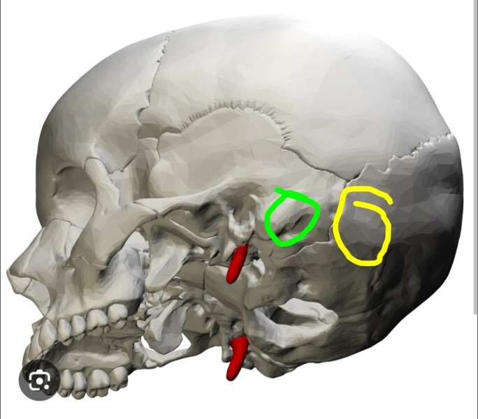 Bony lump on 10 month old baby's skull