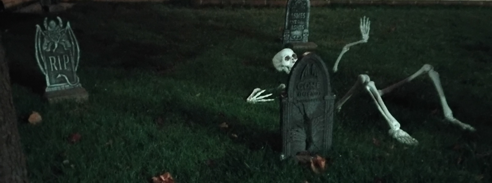 To think my neighbour's Halloween decorations epitomise how abusurd their setup is?  (Pic attached)