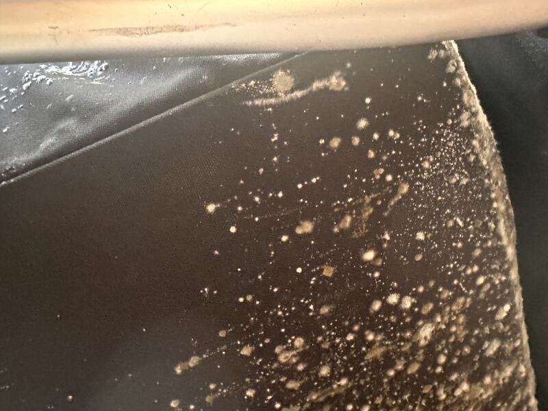 So - mould in property I’ll attach some pics