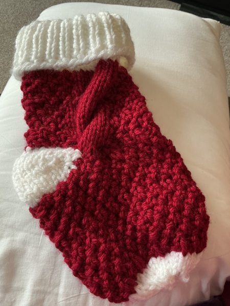 The Bluestocking: All You Need to Know About Risk Assessments, Jazz Hands, Battenberg and Sourdough (But Were Afraid to Ask) - and gerbils. Lots and lots of gerbils.