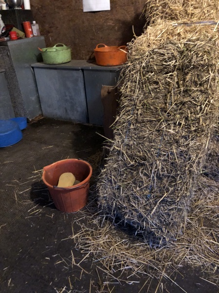 May 2025 Starters Thread 7 - Ending the year as we mean to go on ✌️