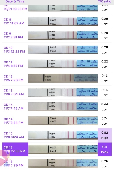 Help with OPK tests