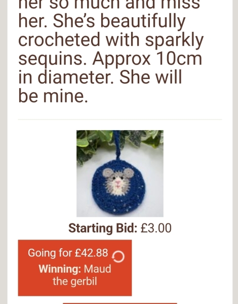 The Bluestocking: All You Need to Know About Risk Assessments, Jazz Hands, Battenberg and Sourdough (But Were Afraid to Ask) - and gerbils. Lots and lots of gerbils.