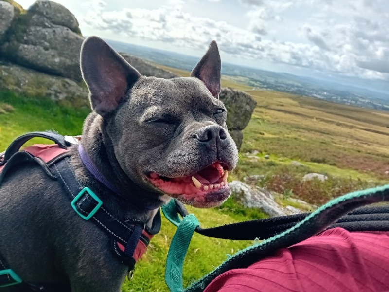 Support thread for those trying to lead an alcohol free life - Autumn 25