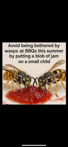 The Bluestocking: All You Need to Know About Risk Assessments, Jazz Hands, Battenberg and Sourdough (But Were Afraid to Ask) - and gerbils. Lots and lots of gerbils.