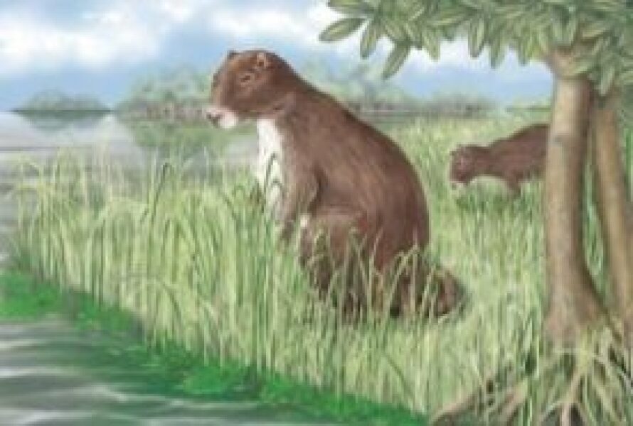 The Bluestocking - Raiders of the Lost Sparp