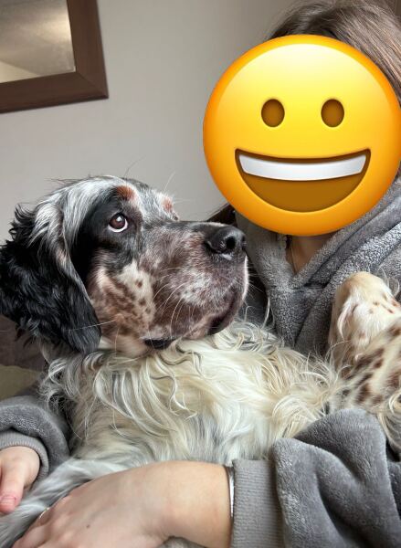 Do you have a large-ish dog, e.g. Boxer and bigger that insists on being a lap dog, when it really isn't?