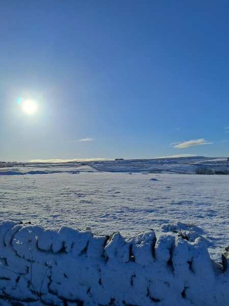 Have you got snow? How cold is it where you live?