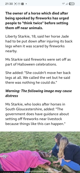 To be sick of people moaning about their pets and fireworks?