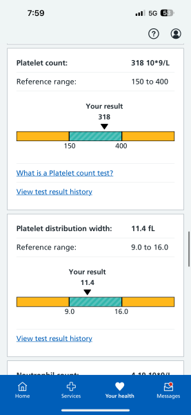 Anyone know about low iron/ferritin