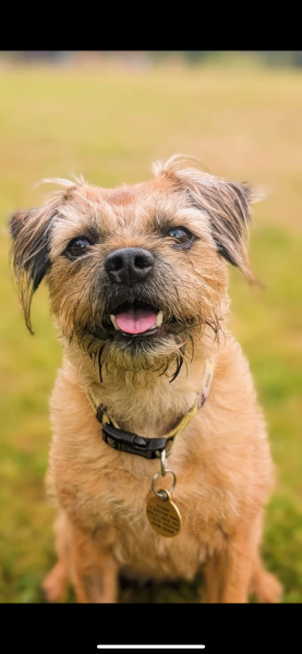 Thread #6, living with incurable cancer, taking ALL the drugs, and remembering our fallen comrades