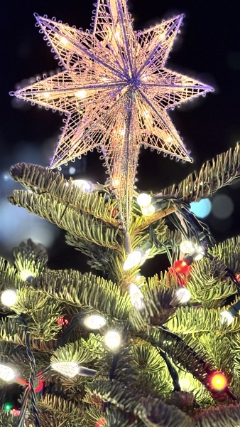 Daily Project round 8