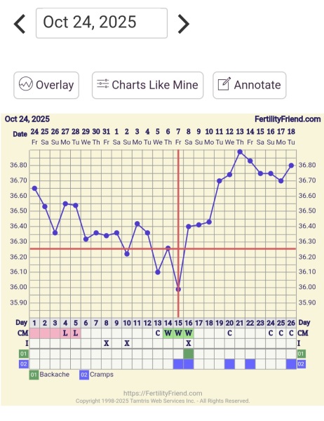 11dpo, Raised bbt, neg hcg,