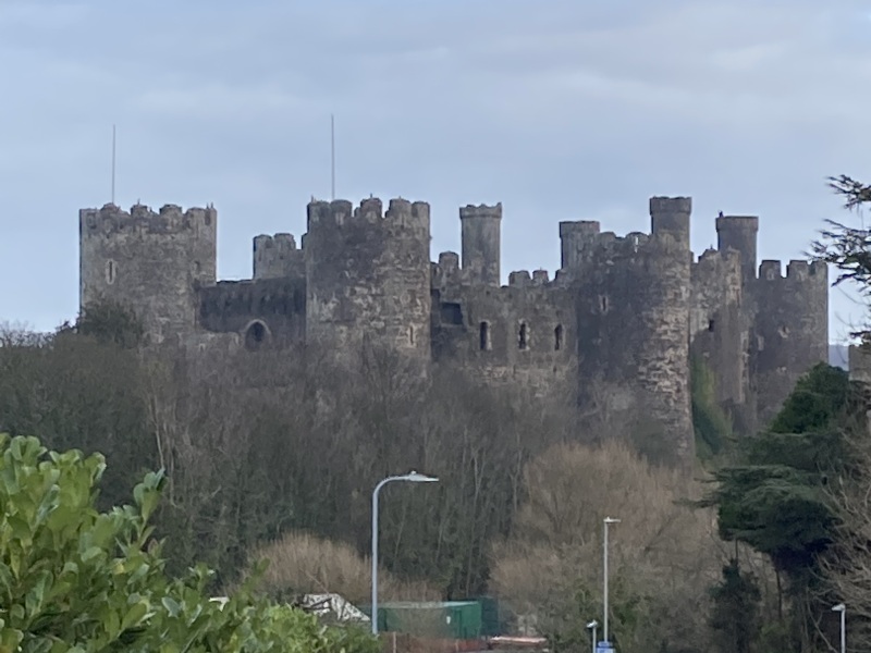 Thread 39 Starmer: chwech/saith - dechreuodd y plant ei