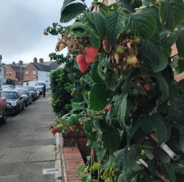 Thread 18 - TalkLair: "That's no moon. It's a space station!"