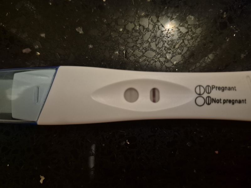 Tesco pink dye test BFP