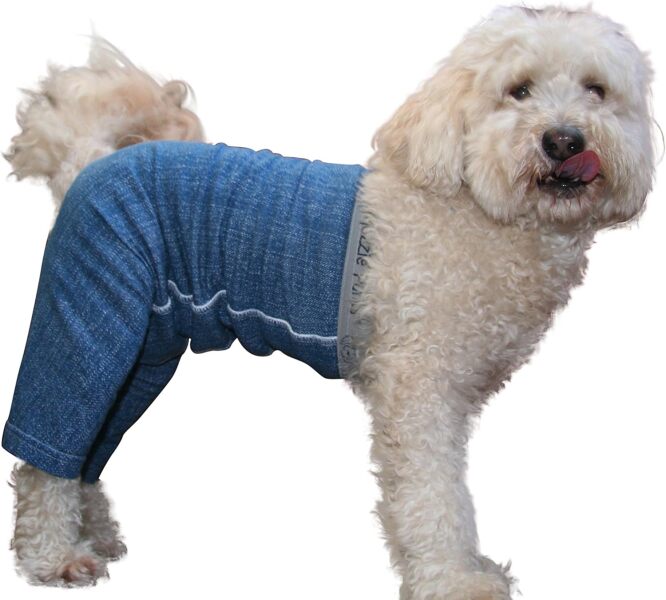 To think it should be mandatory that dogs wear shorts to cover their genitals in public?