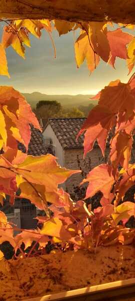 The Nigel Slater Christmas Chronicles readalong 2025 - Part 2