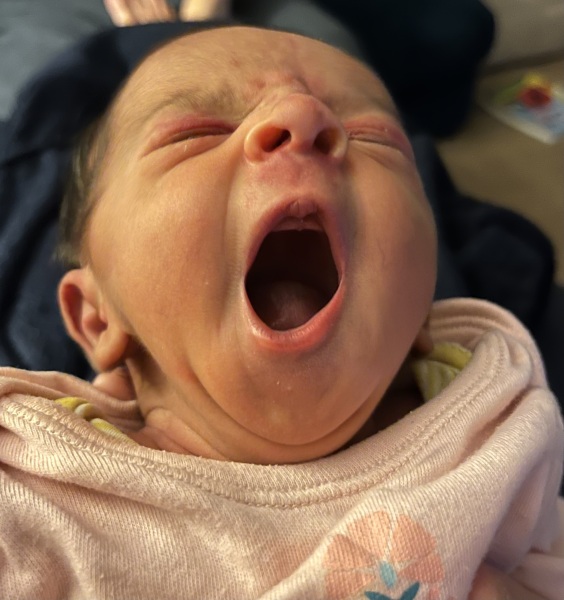Help - baby girl still nameless at 5 days old