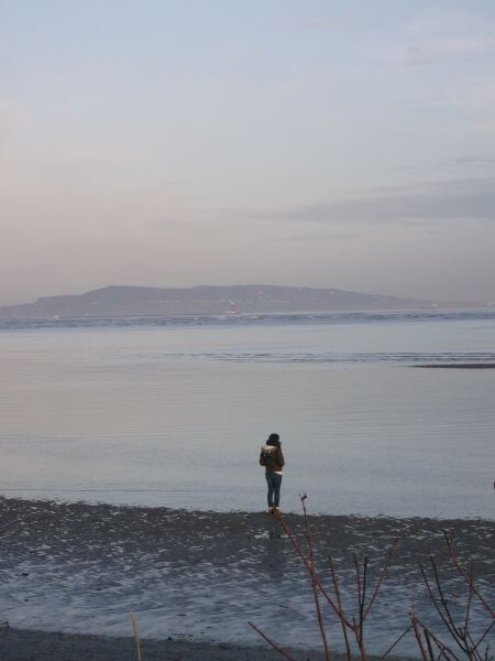 The Bluestocking: All You Need to Know About Risk Assessments, Jazz Hands, Battenberg and Sourdough (But Were Afraid to Ask) - and gerbils. Lots and lots of gerbils.