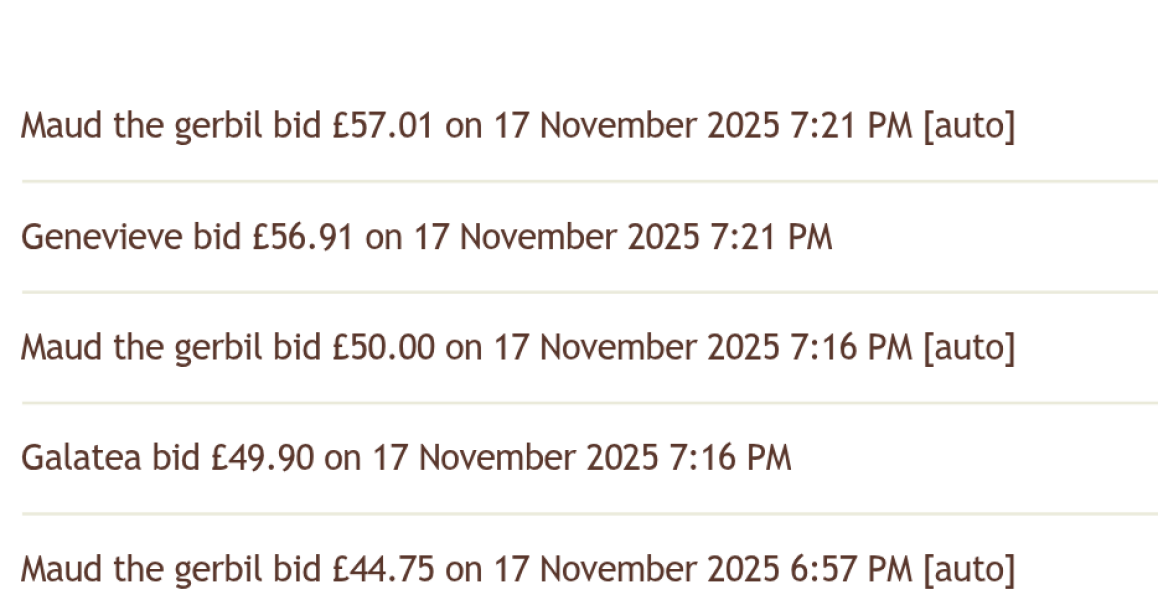 The Bluestocking: All You Need to Know About Risk Assessments, Jazz Hands, Battenberg and Sourdough (But Were Afraid to Ask) - and gerbils. Lots and lots of gerbils.